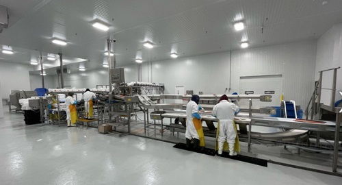 Bakkafrost美国新加工厂投用，进军零售业，力争销量翻番